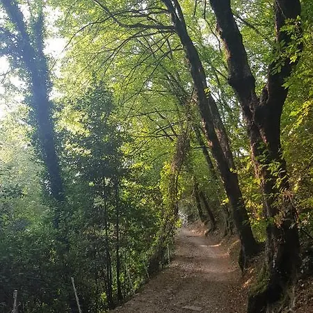Il Limone Gargnano